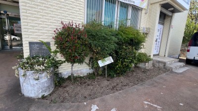 2026년 순천시 경관조성을 위한 가을꽃 식재